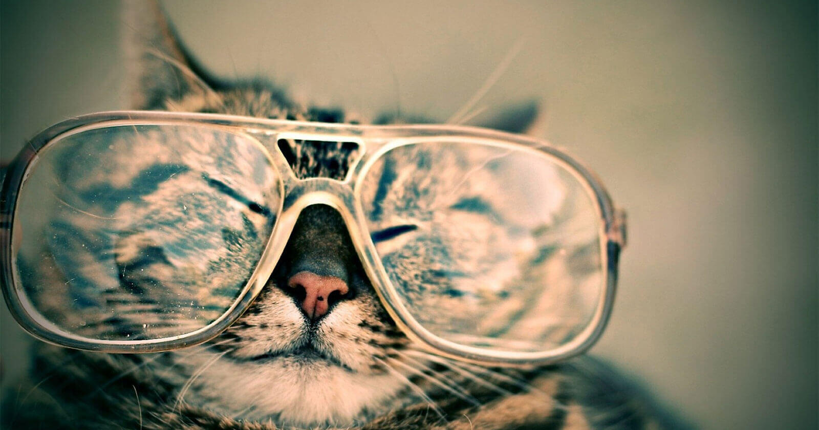 Dizzy? Adaptation to your new glasses